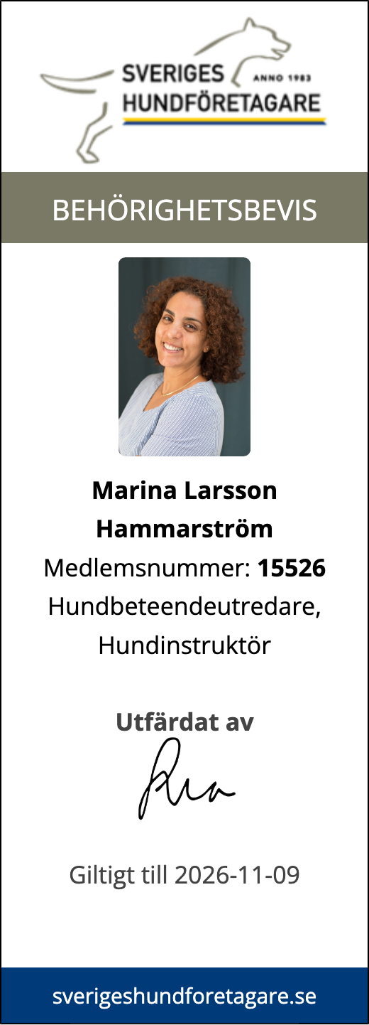Om oss Om oss
